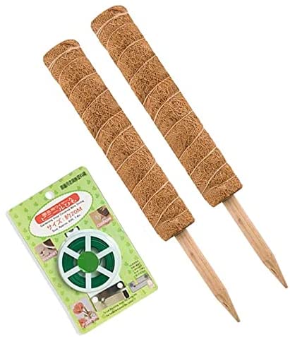JOYSEUS 30 Inch Moss Pole for Climbing Plants - 2 Pack 15 Inch Coir Totem Pole Plant Support with 65 Feet Garden Twist Tie for Monstera and Potted Plants to Grow Upwards…